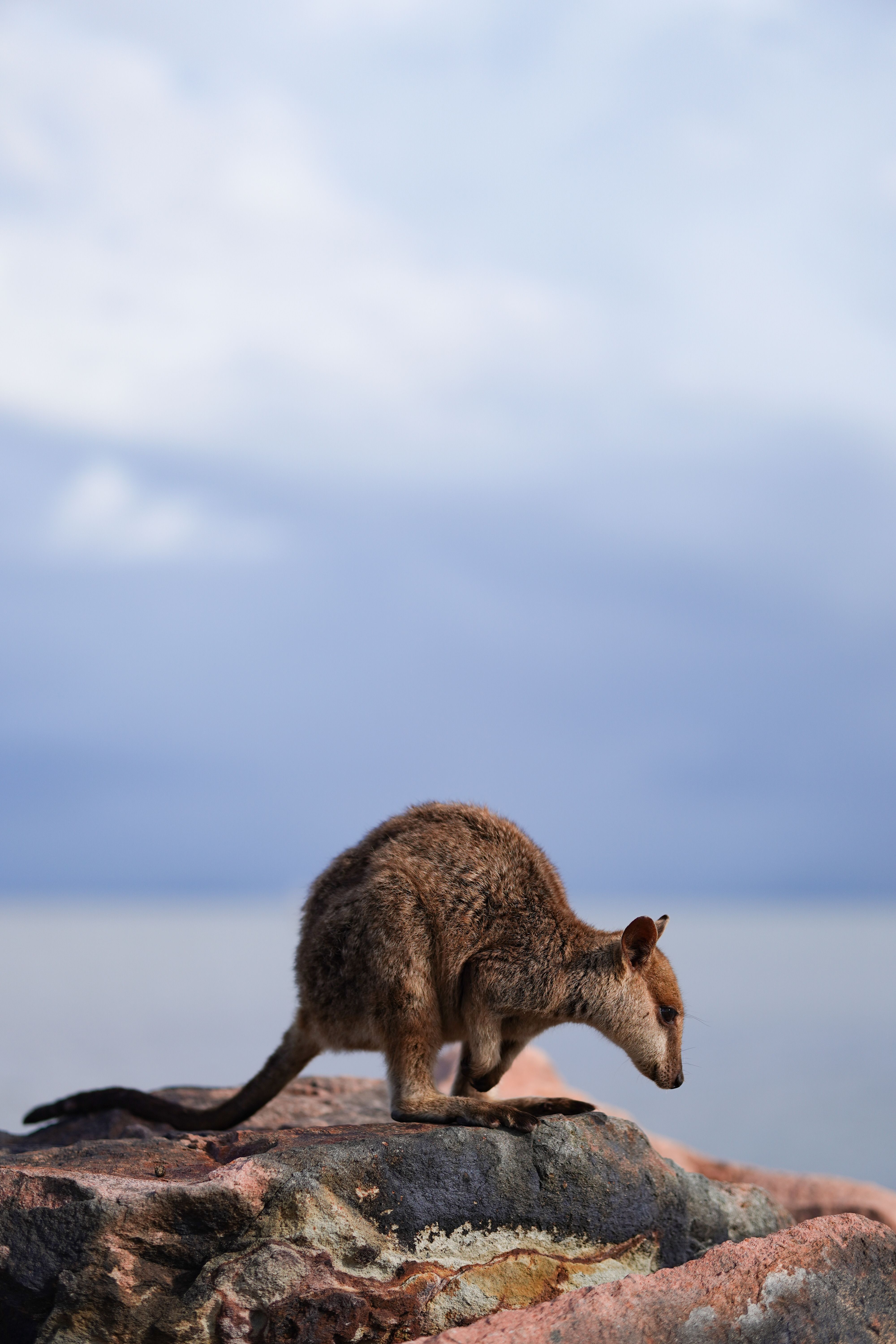 South Stradbroke Island