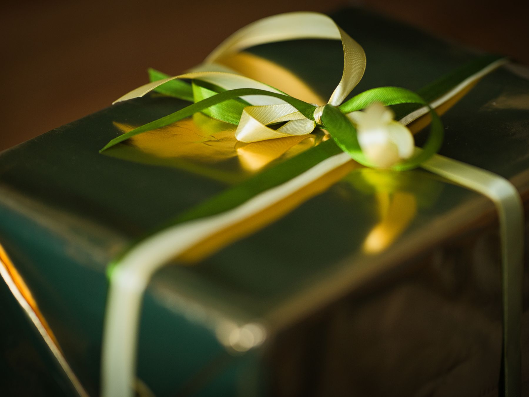 Dundee — professional packers wrapping and boxing belongings