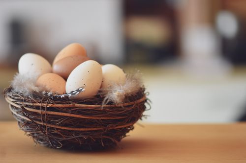 Free A charming rustic nest filled with speckled eggs, perfect for Easter themes. Stock Photo