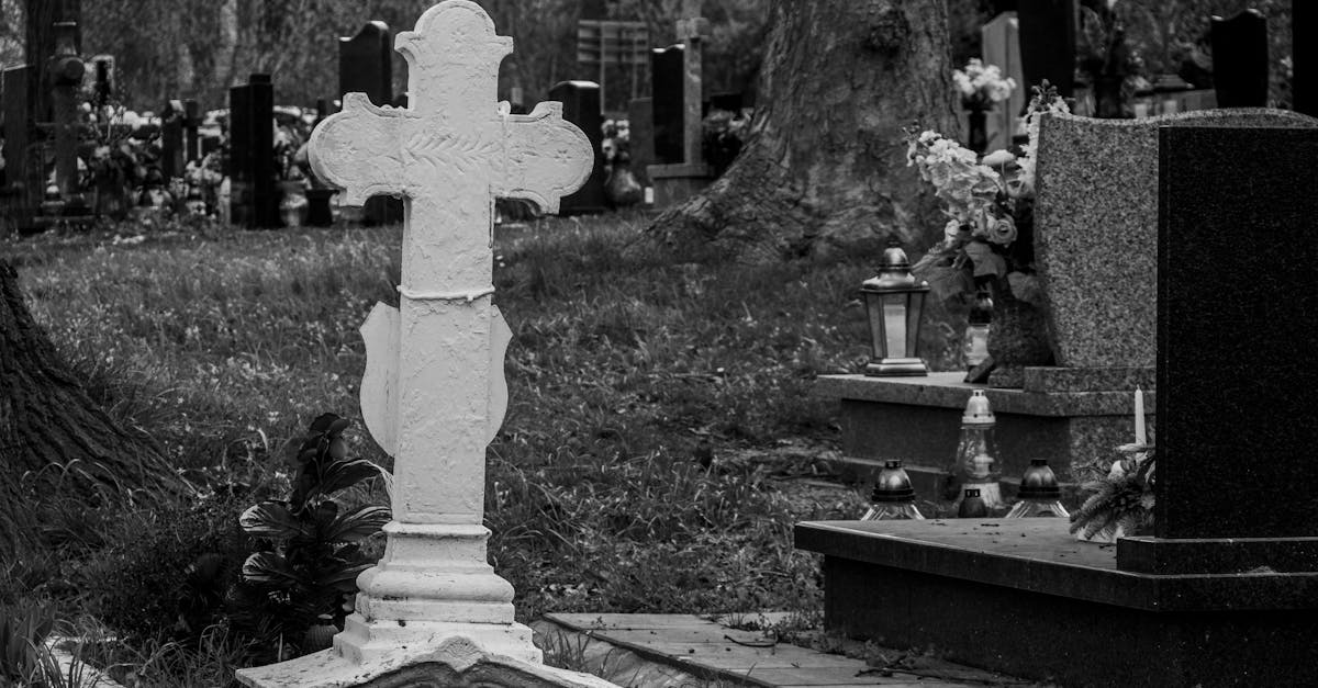 風景與人的距離,在這裡消失了:在瀬戶內,藝術不只是觀賞,而是生活的一部分