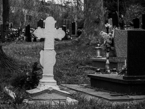 Free Black and white photo of a historic cemetery in Wrocław, emphasizing religious monuments. Stock Photo