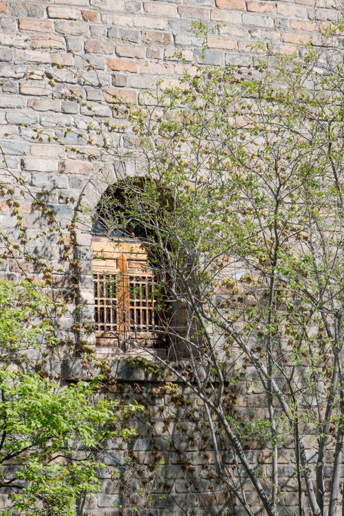 Free A medieval stone wall with an arched window partially covered by leafy branches outdoors. Stock Photo