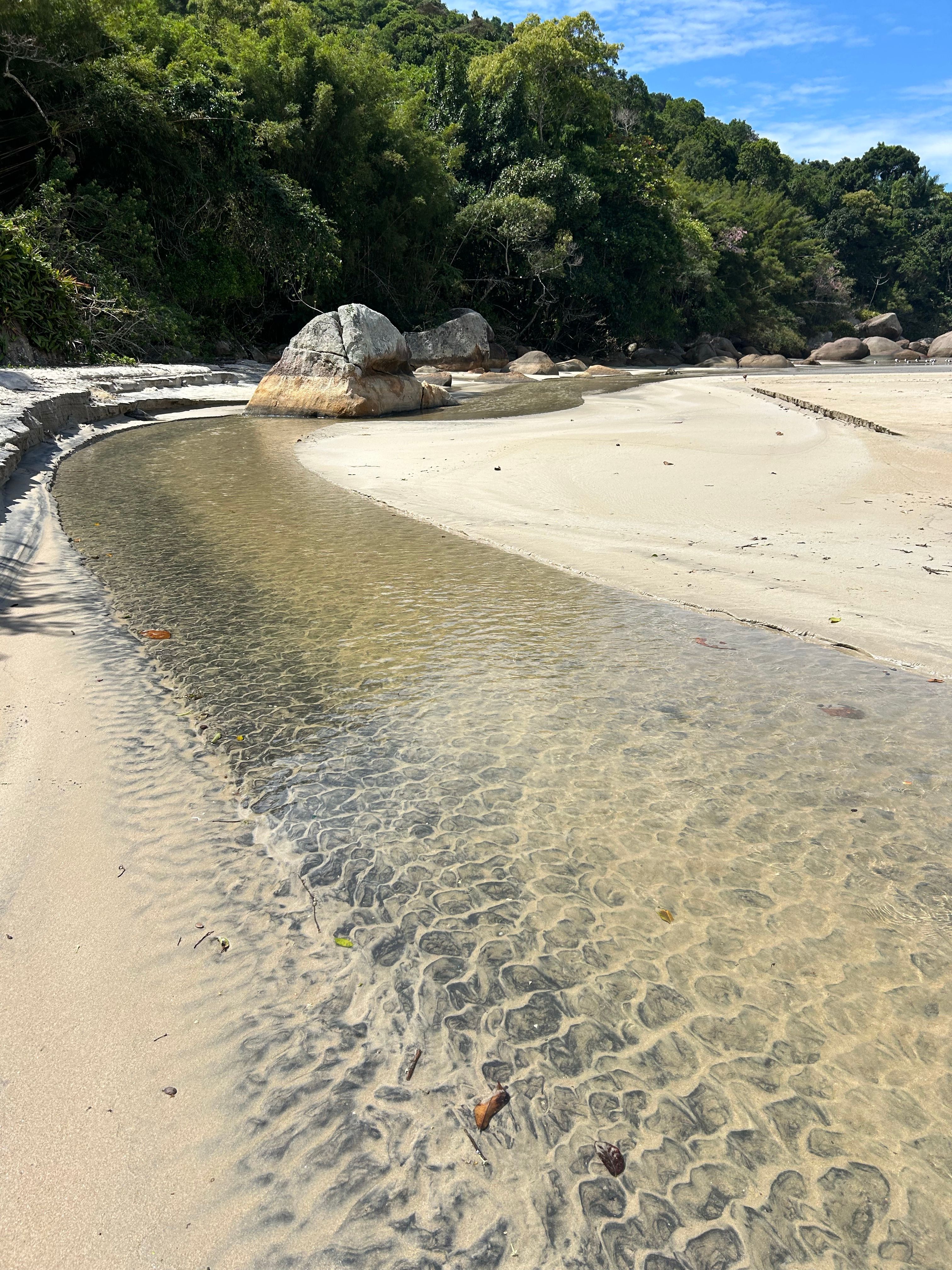 Scenic Tidal Stream on Tranquil Beach · Free Stock Photo
