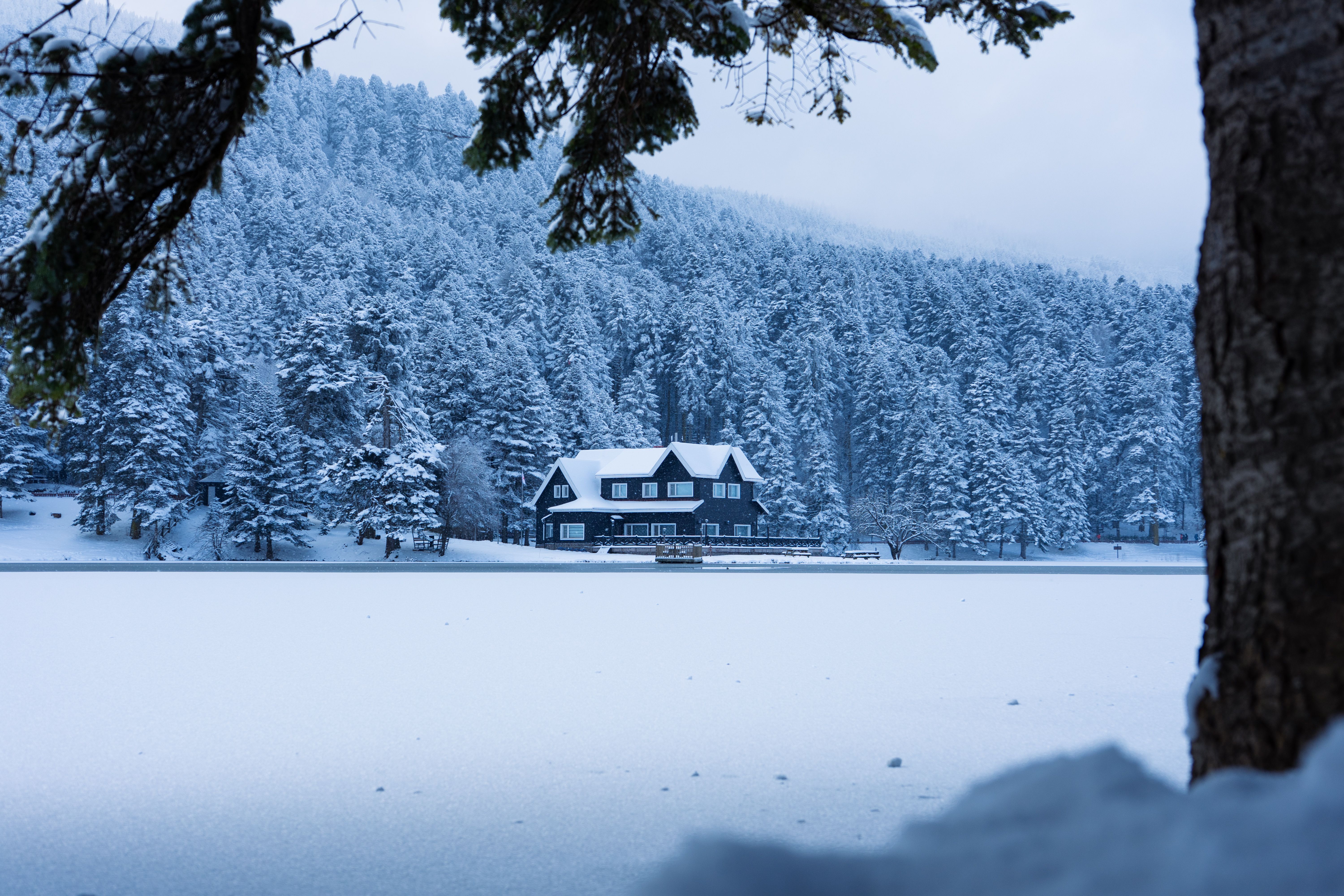 林祐介　KARHU & Picturesque Winter Landscape Scenic Winter Landscape at Lake in Bolu, Türkiye · Free Stock Photo