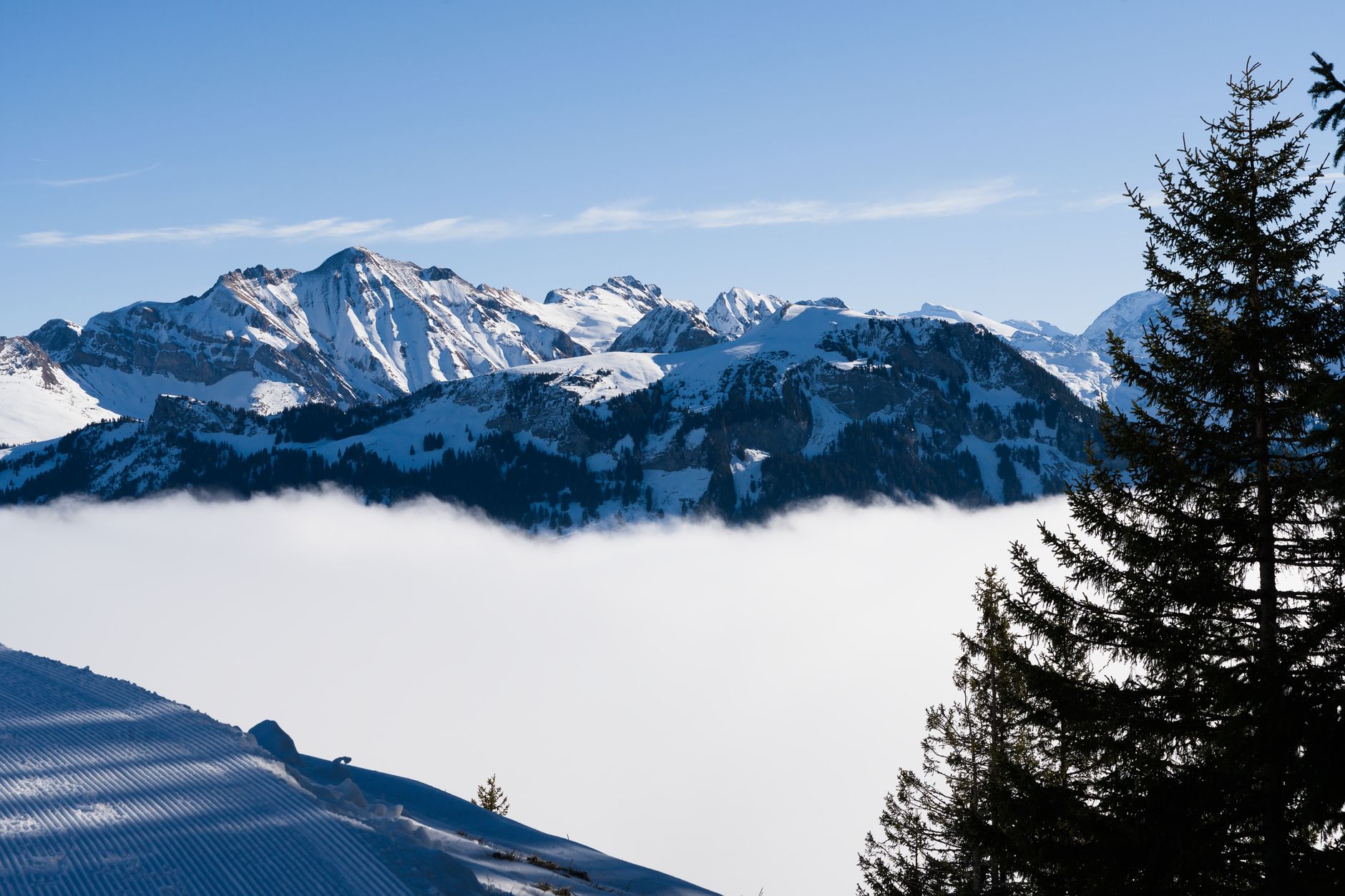 Swiss Snow Academy