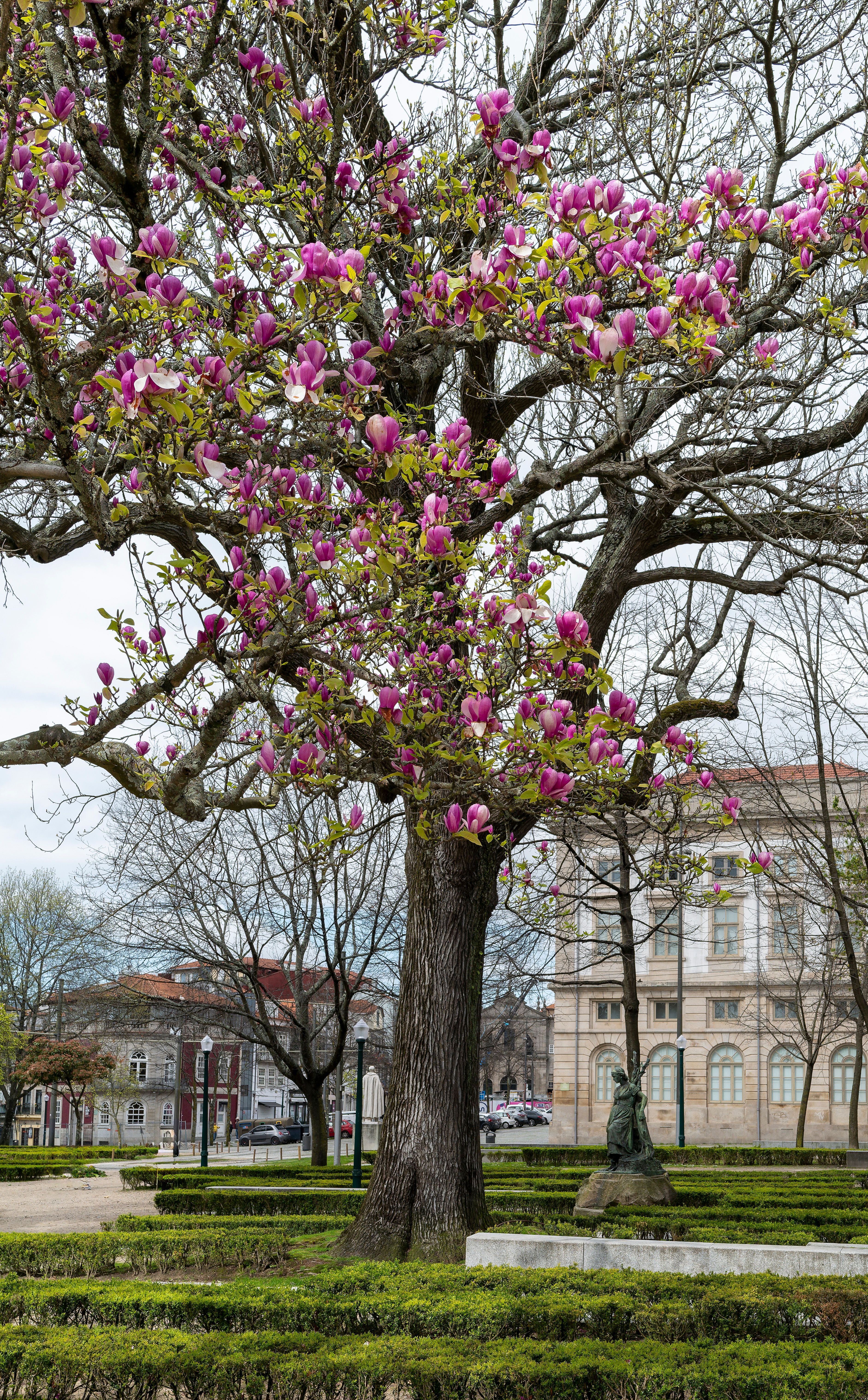 Tomás Ribeiro Garden and Mães Garden in Viseu Closed for Treatment