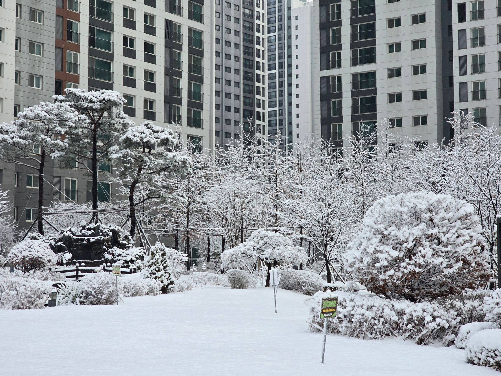 A serene winter scene featuring snow-covered trees and modern high-rise buildings in an urban park.