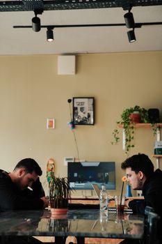 Two men focused on laptops in a cozy cafe setting with plants and art.