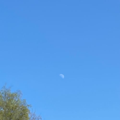 Free Moon Stock Photo