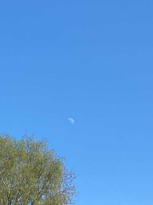 Free Moon Stock Photo