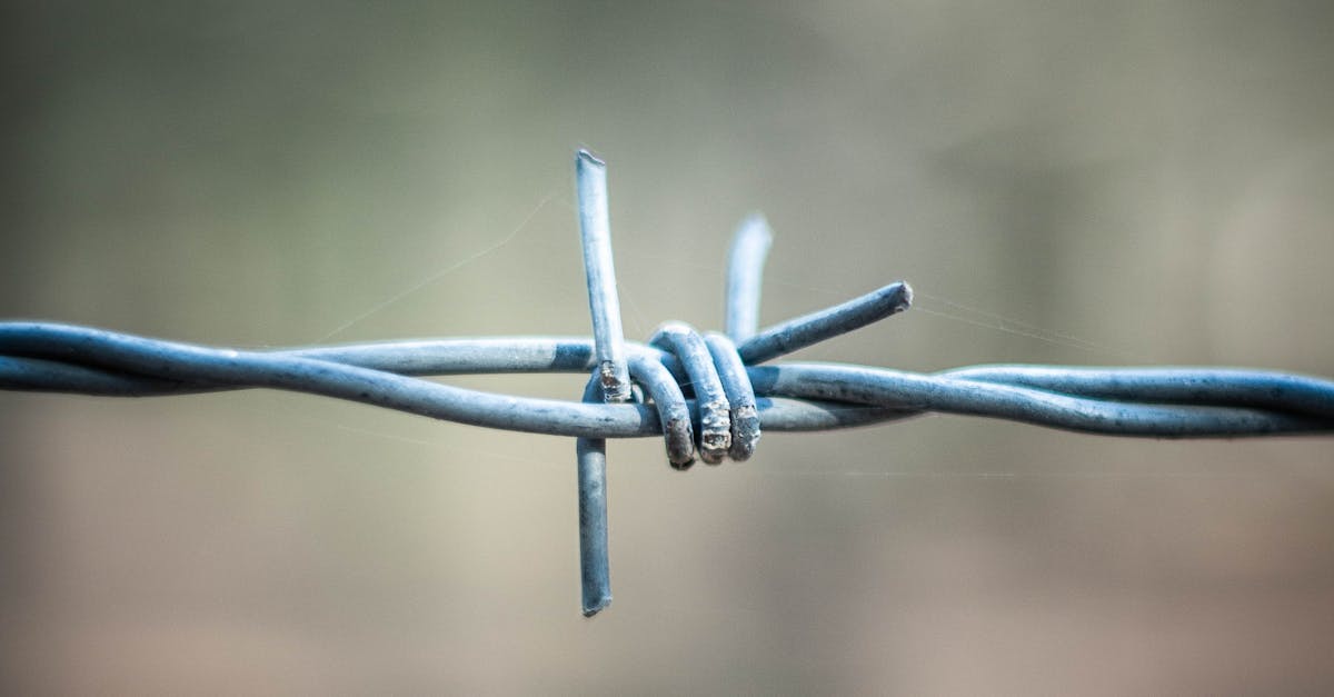 WithSecure唯思安全榮獲2024年AV-TEST最佳保護獎,資安防護力全方位提升!