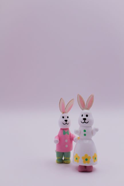 Free stock photo of chicken, easter, rabbit