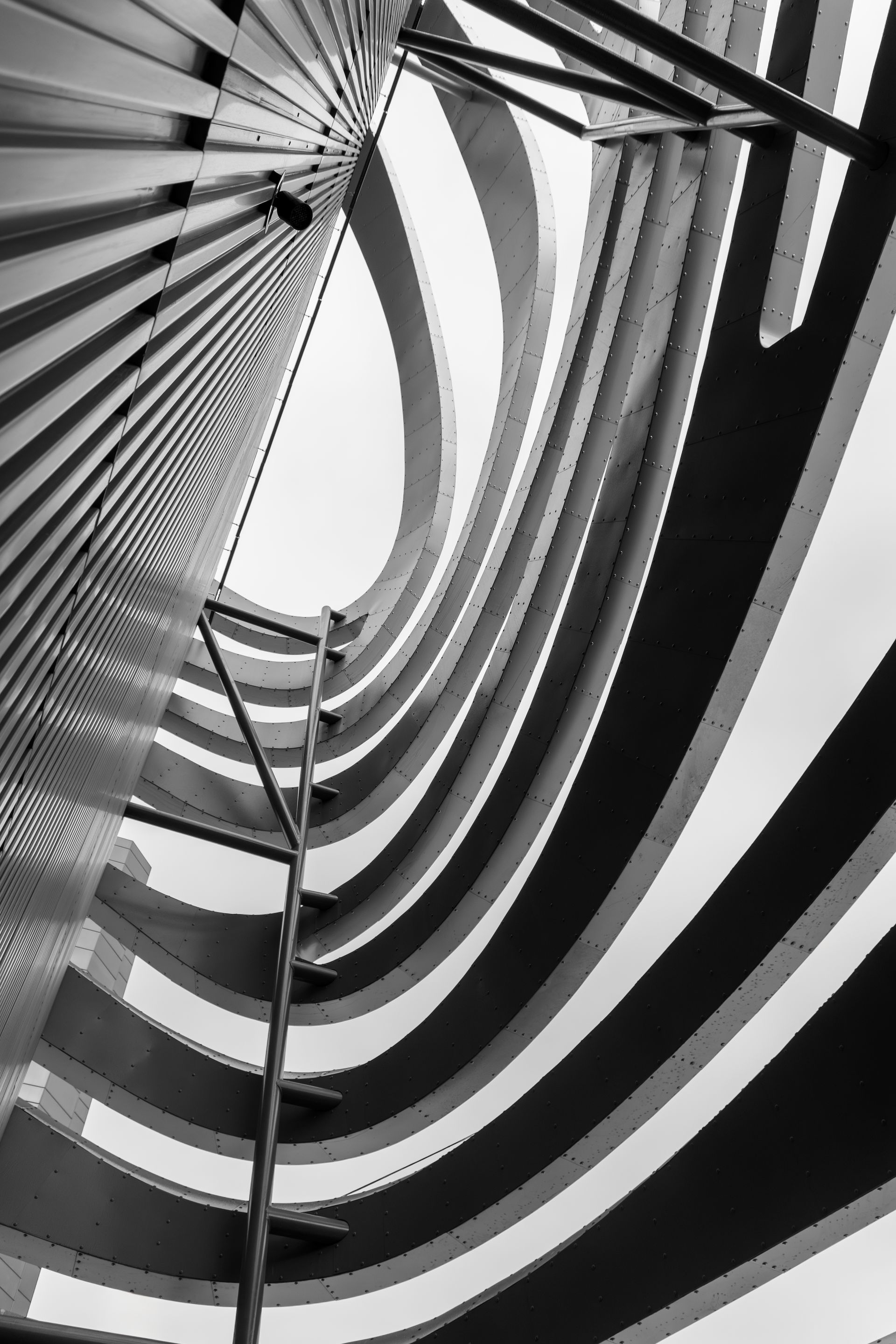 Sweeping curved architectural lines in black and white