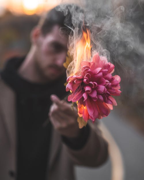 Człowiek Posiadający Kwiat Różowopłatkowy