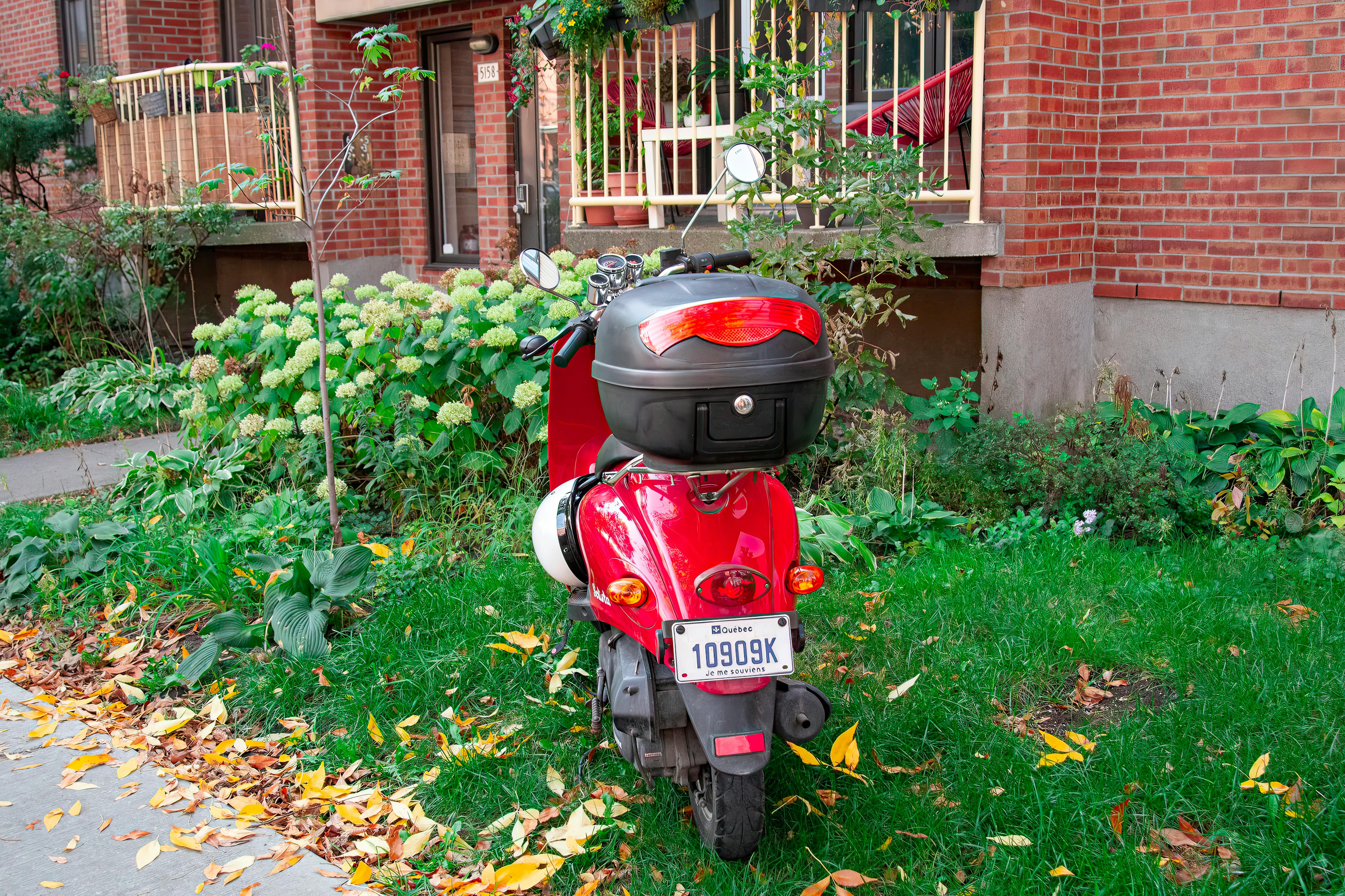 ContiScoot: over 30 Tire Sizes for Urban Mobility and Everyday Commuting — Photo by @coldbeer on Pexels