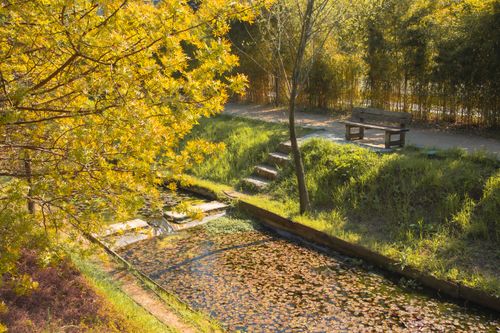 Free Peaceful garden scene in spring with a sunny pond and park bench view. Stock Photo