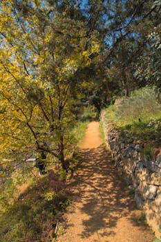 A scenic dirt path surrounded by lush greenery and vibrant foliage in a botanical garden on a sunny day.