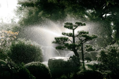 Free A calming view of a Japanese garden featuring a pine tree and water spray, perfect for relaxation themes. Stock Photo
