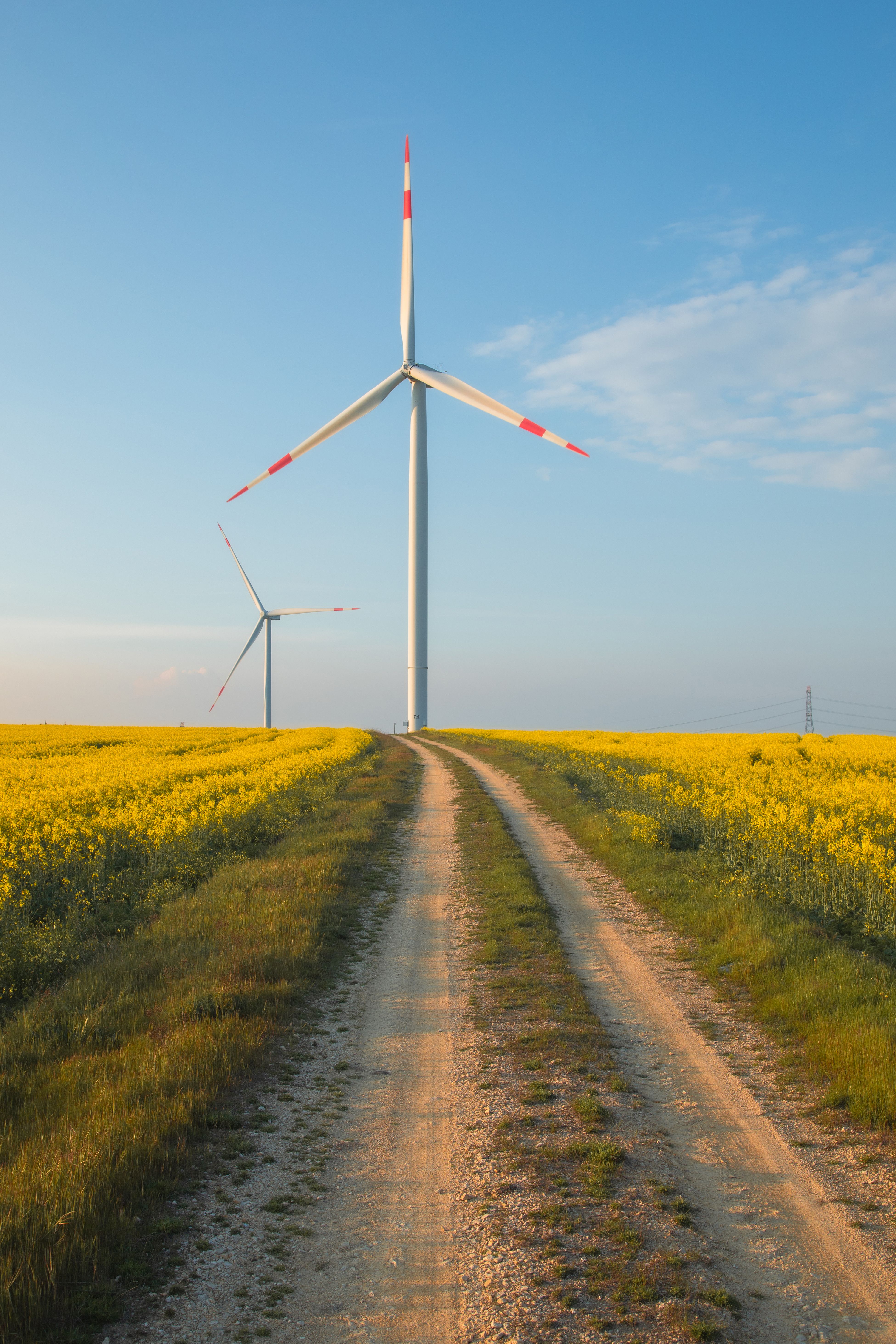 Sunny Field with Wind Turbines and Clear Blue Sky · Free Stock Photo