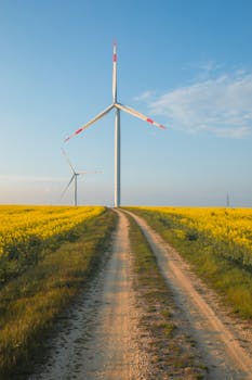 A vibrant spring landscape featuring a dirt path through canola fields with wind turbines against a clear blue sky.