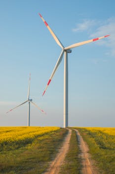 Scenic view of wind turbines standing in a vibrant yellow canola field under a clear blue sky at sunset.