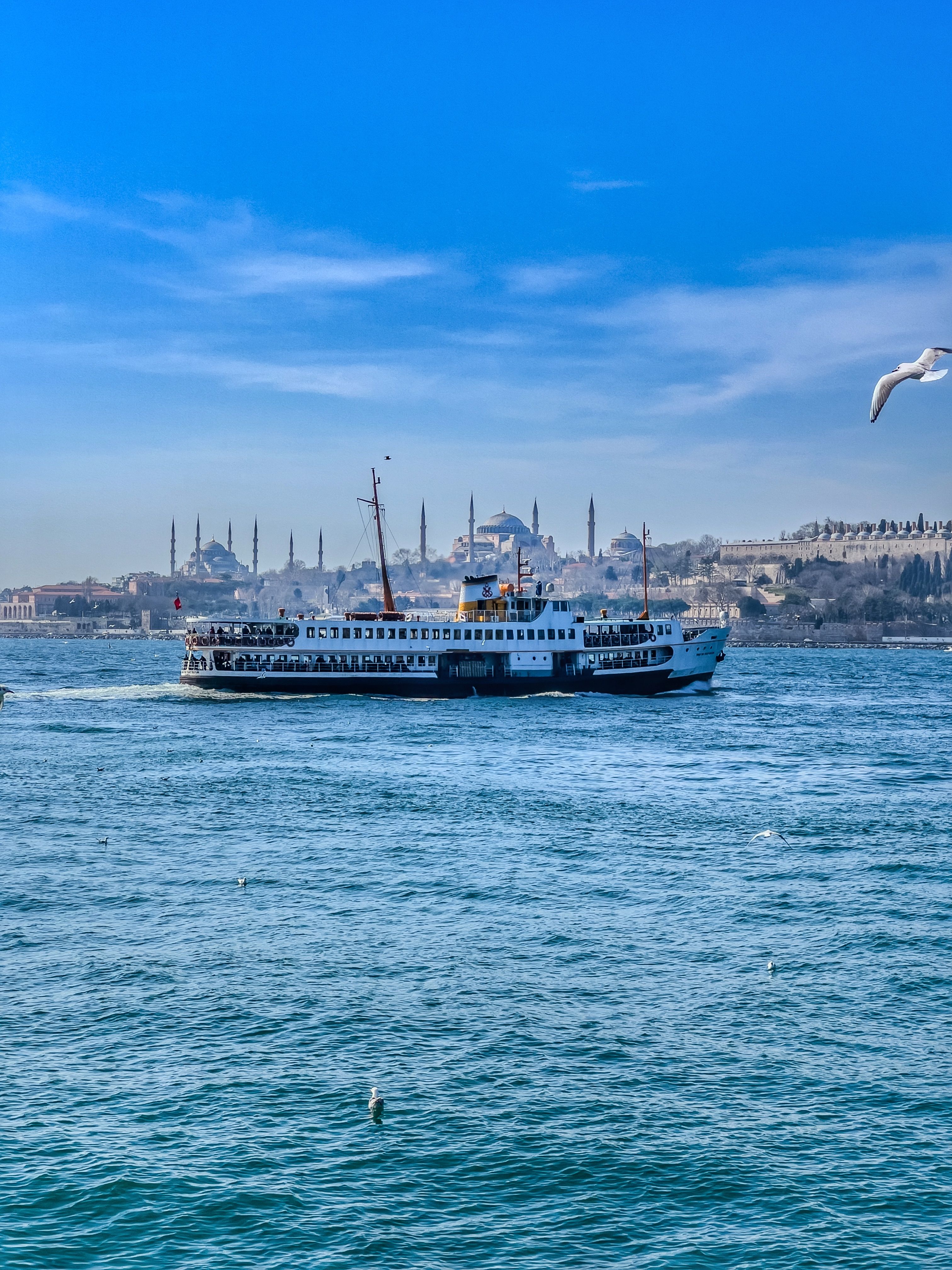 Ferry Crossing Bosphorus Strait with Istanbul Skyline · Free Stock Photo