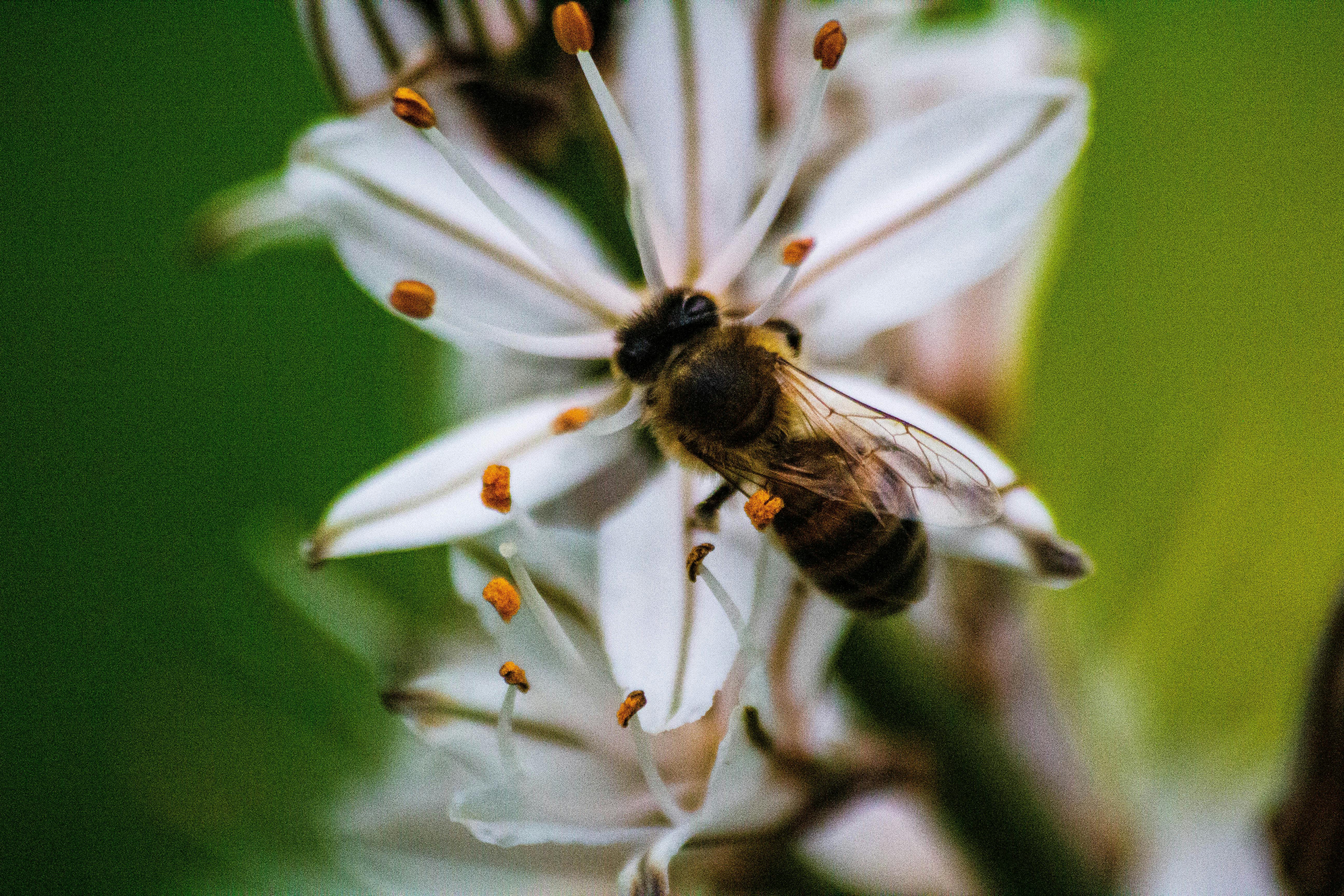 Ark Valley Civics Bee Competition to Send Three Local Students to State — Photo by Nikolaos D. Nomikos on Pexels