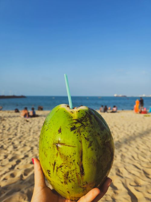 Free Enjoy a refreshing coconut drink on a sunny beach day, with blue skies and ocean views. Stock Photo