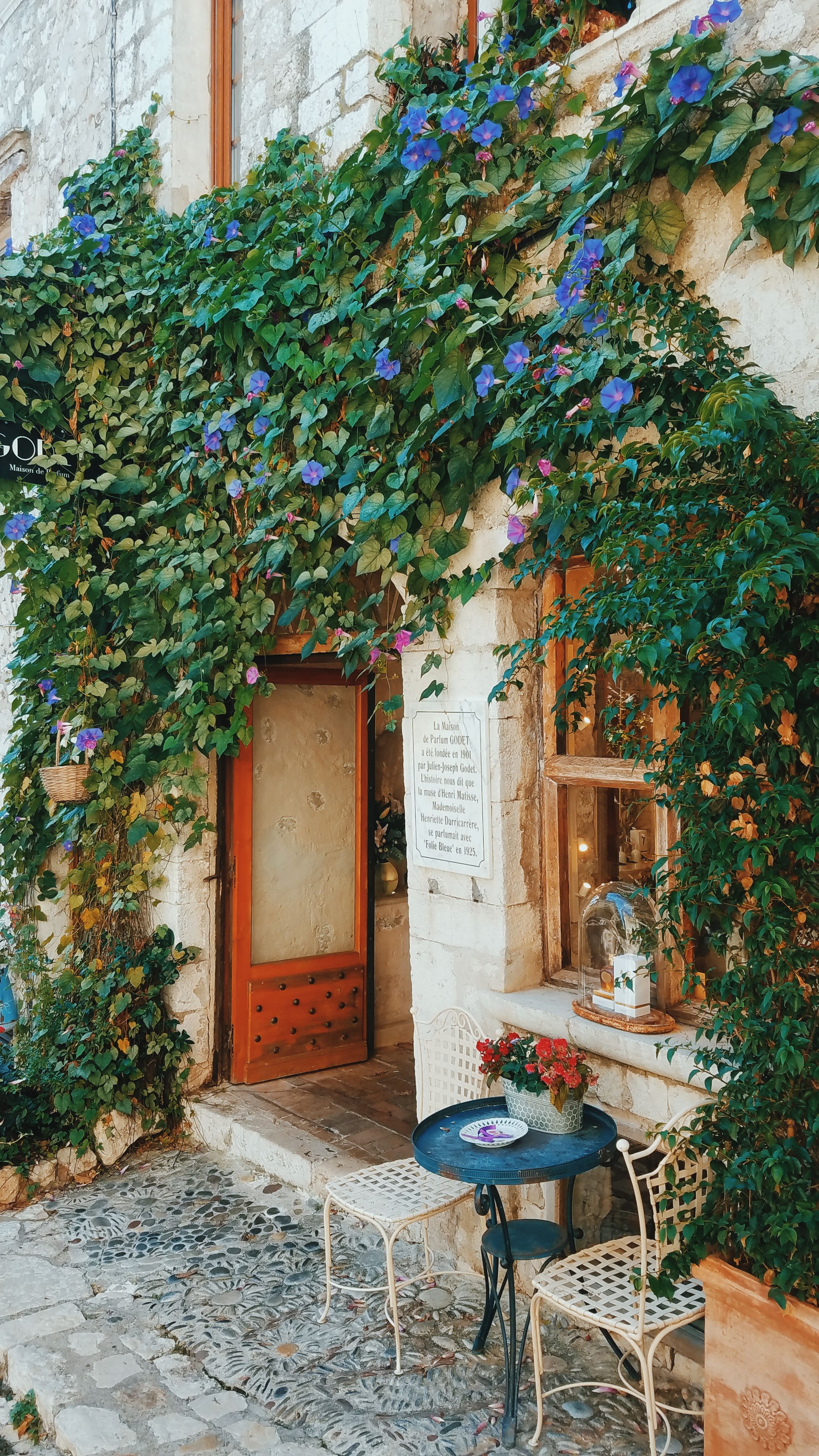 Charming Outdoor Cafe with Flowering Vines · Free Stock Photo