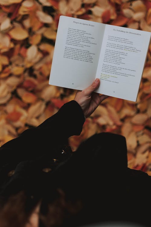 Person Holding White Book