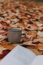 公园里，陶瓷杯和打开的书与五颜六色的秋叶构成了一幅画面