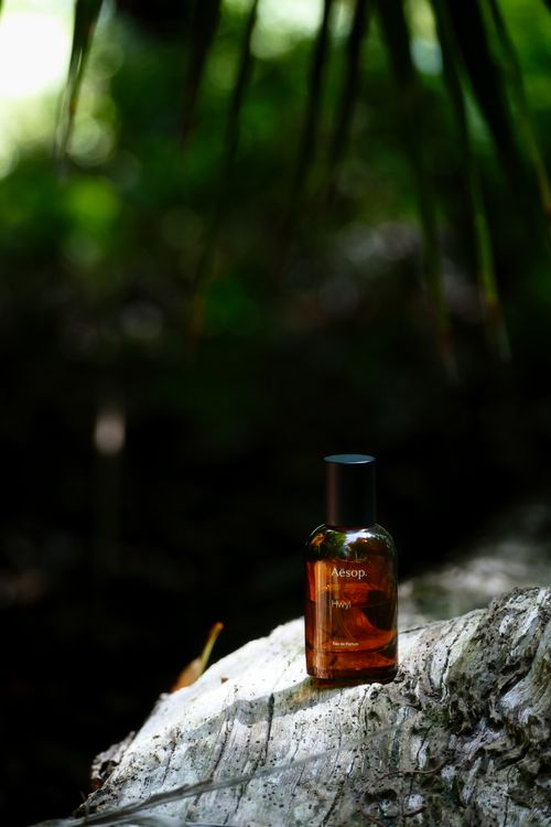 Free A beautifully branded brown perfume bottle outdoors on a tree trunk, surrounded by nature. Stock Photo