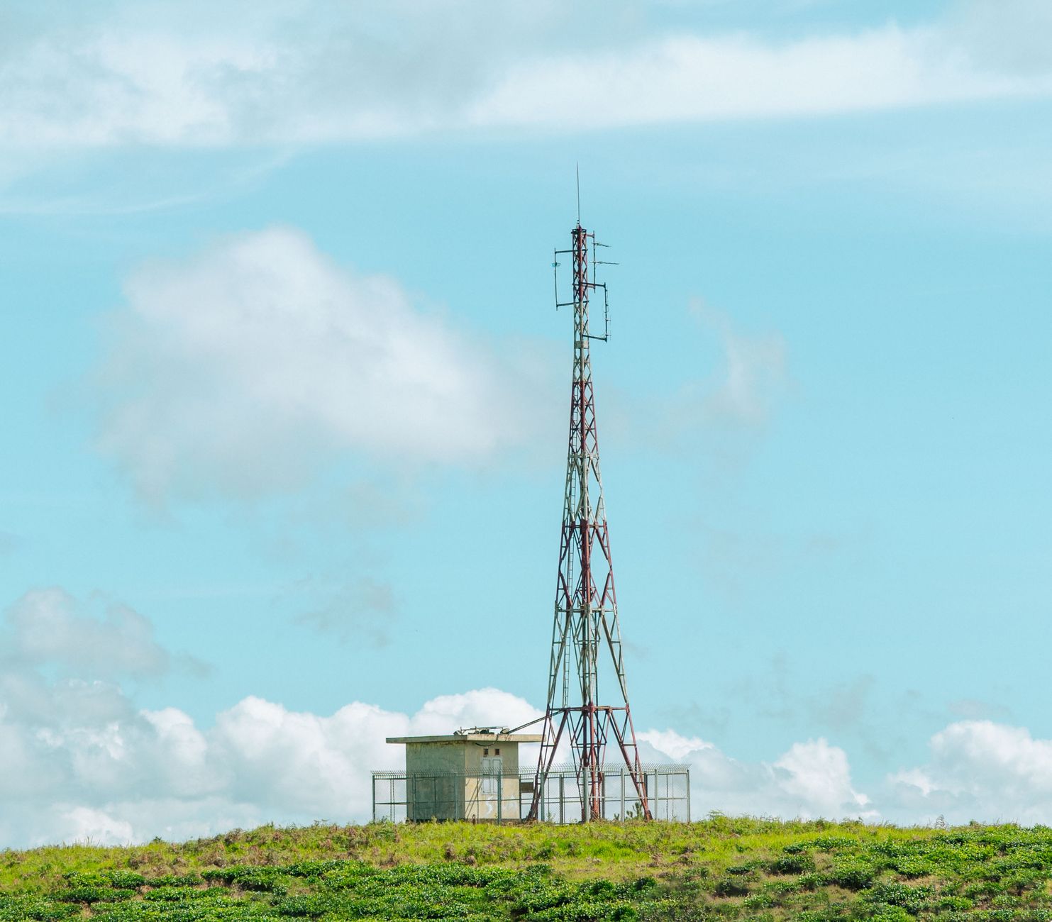 A single communication tower stands against a blue sky on a green hill.