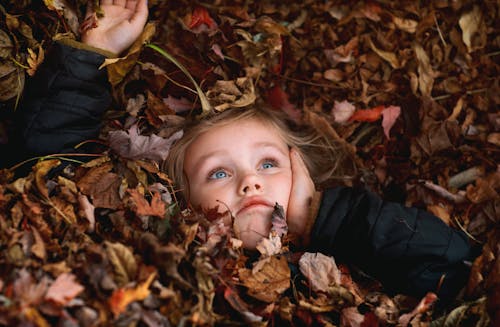 Free stock photo of autumn, autumn mood, child