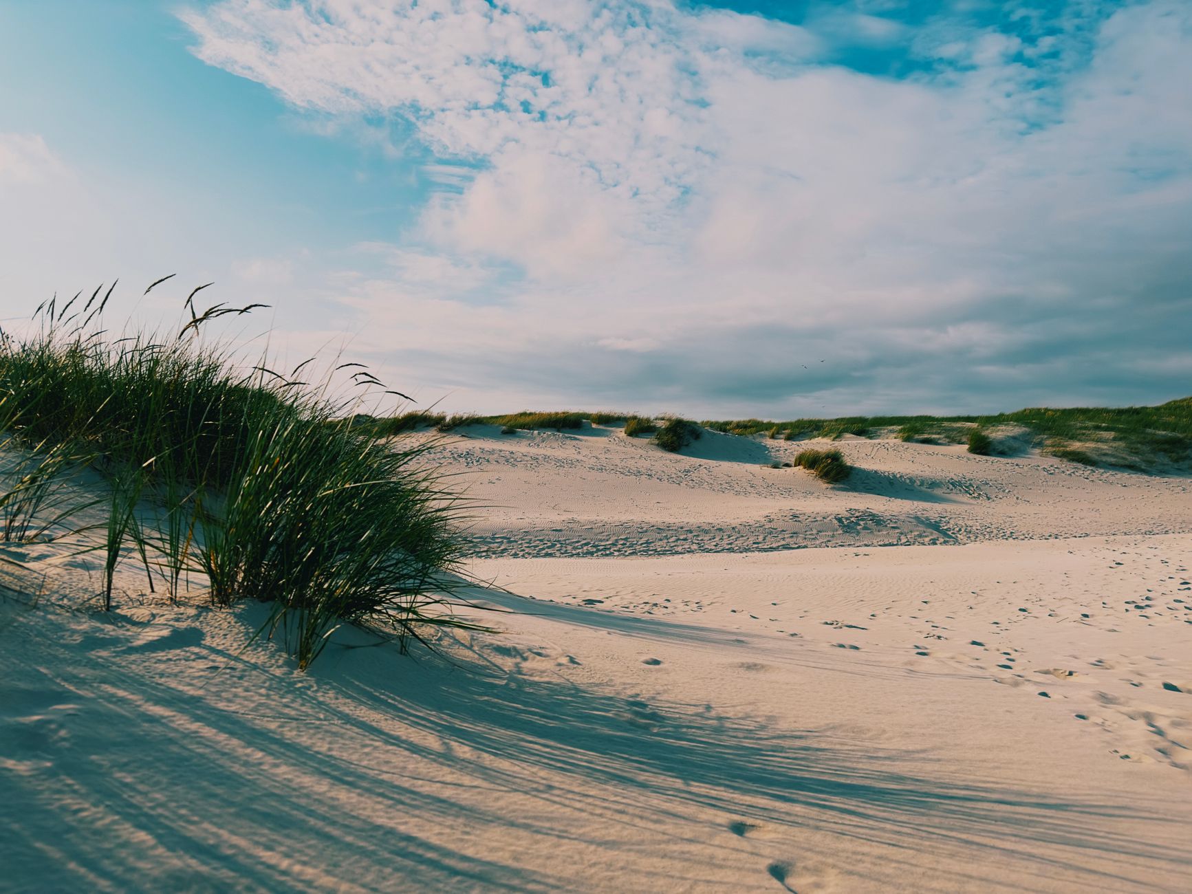 Explore the serene beauty of coastal sand dunes on a sunny day. Perfect for nature lovers.