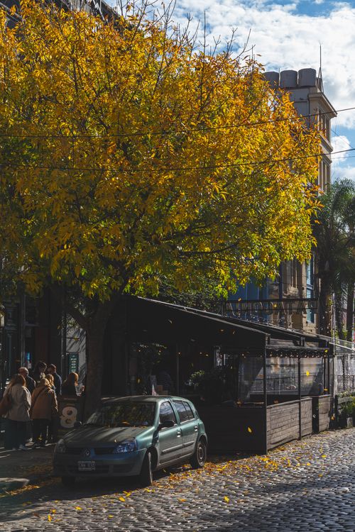 Free Tree-lined street in Buenos Aires with autumn colors and classic architecture. Stock Photo