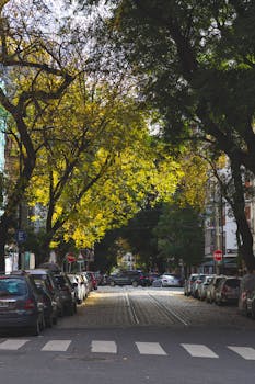 Autumn scene on a street in Buenos Aires with cars and colorful leaves.
