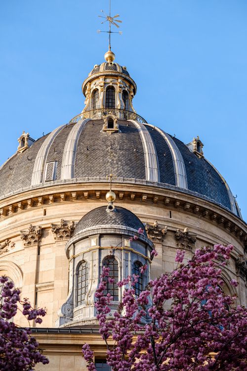 Free The iconic dome of Institut de France framed by vibrant spring blossoms under a clear blue sky. Stock Photo