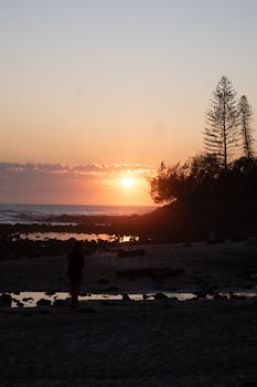 A tranquil sunrise over Burleigh Heads beach with silhouetted trees and waves in Queensland, Australia.