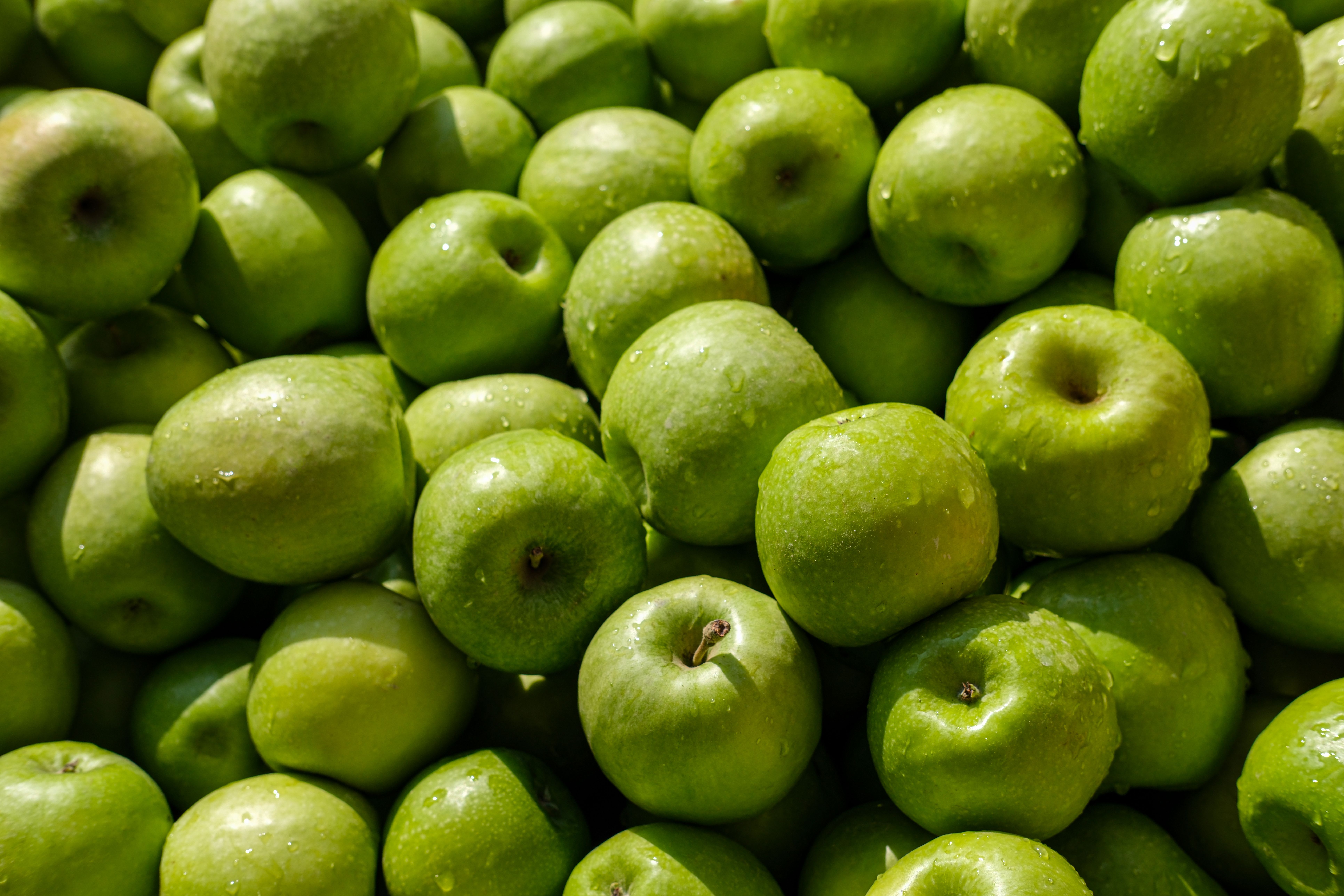Global Feature: Apple Learning Coach Program — Photo by Yusuf Çelik on Pexels