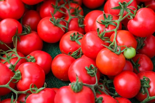 Free A vibrant pile of freshly picked red tomatoes with green stems, perfect for showcasing natural produce. Stock Photo