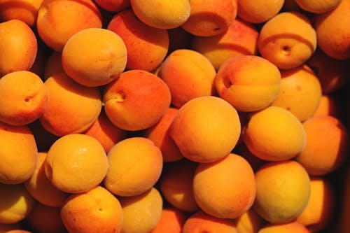 Fresh Ripe Apricots