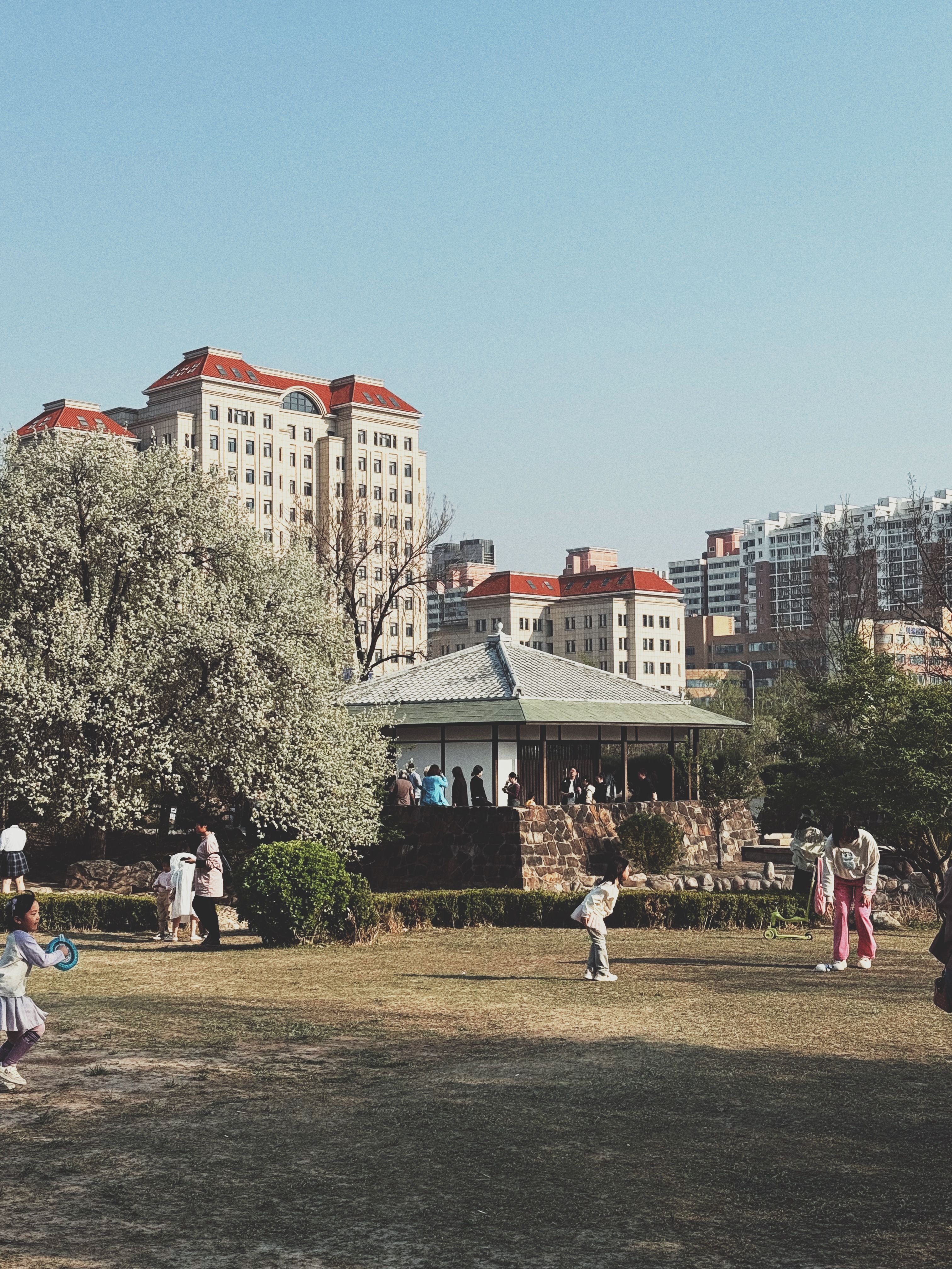 A vibrant scene of people enjoying a sunny day in a Tianjin park with historic architecture in the background.