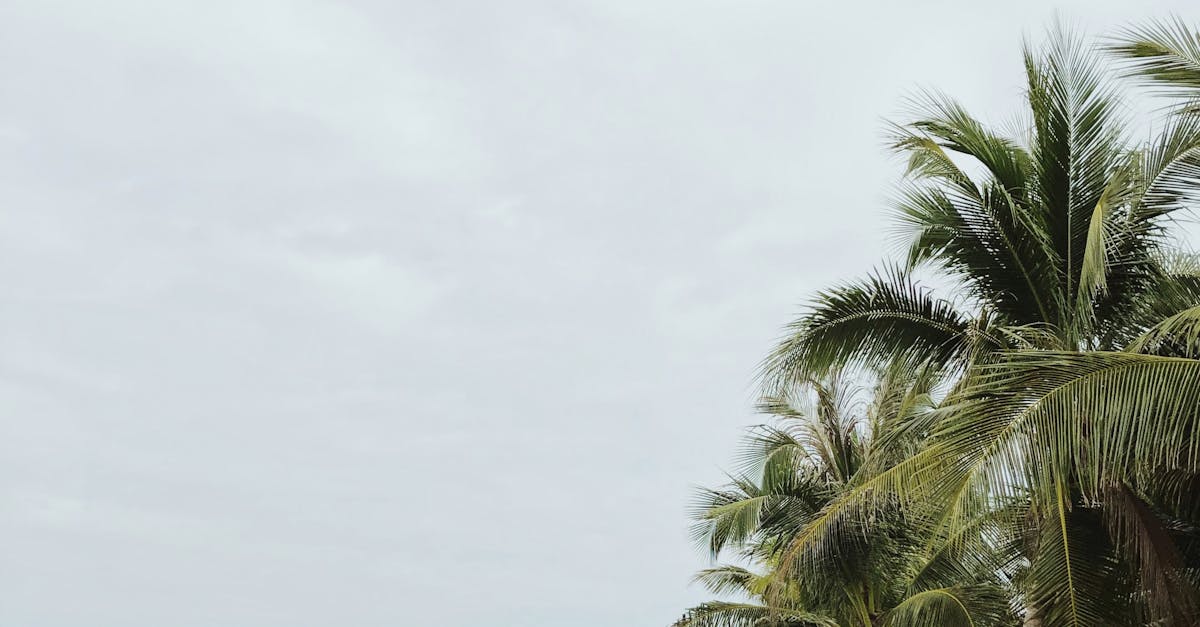 探索新北板橋Tpark科技特區的綠地休憩空間