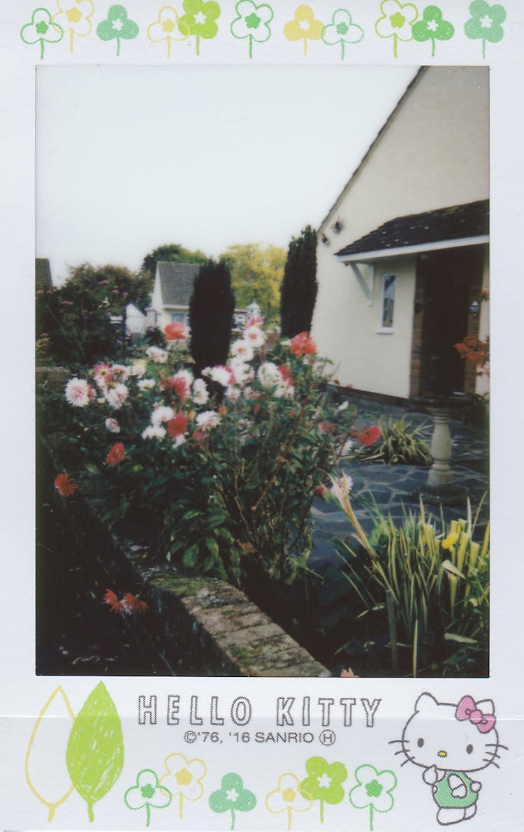 Flowers Beside Building With Hello Kitty Frame