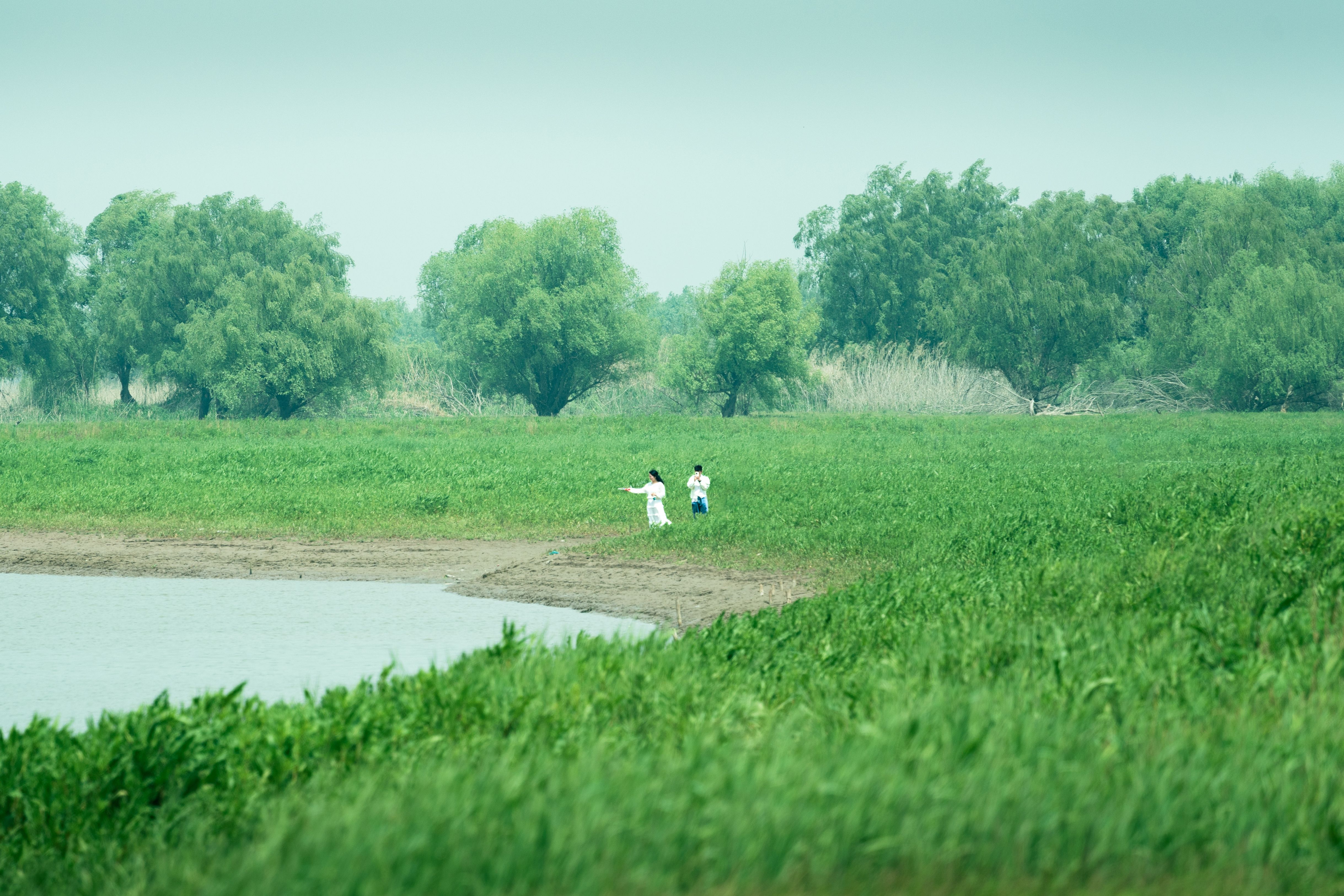 Niños Jugando En Un Vasto Prado Verde Junto A Un Lago · Foto de stock ...