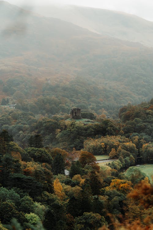 Free stock photo of autumn, background, cold