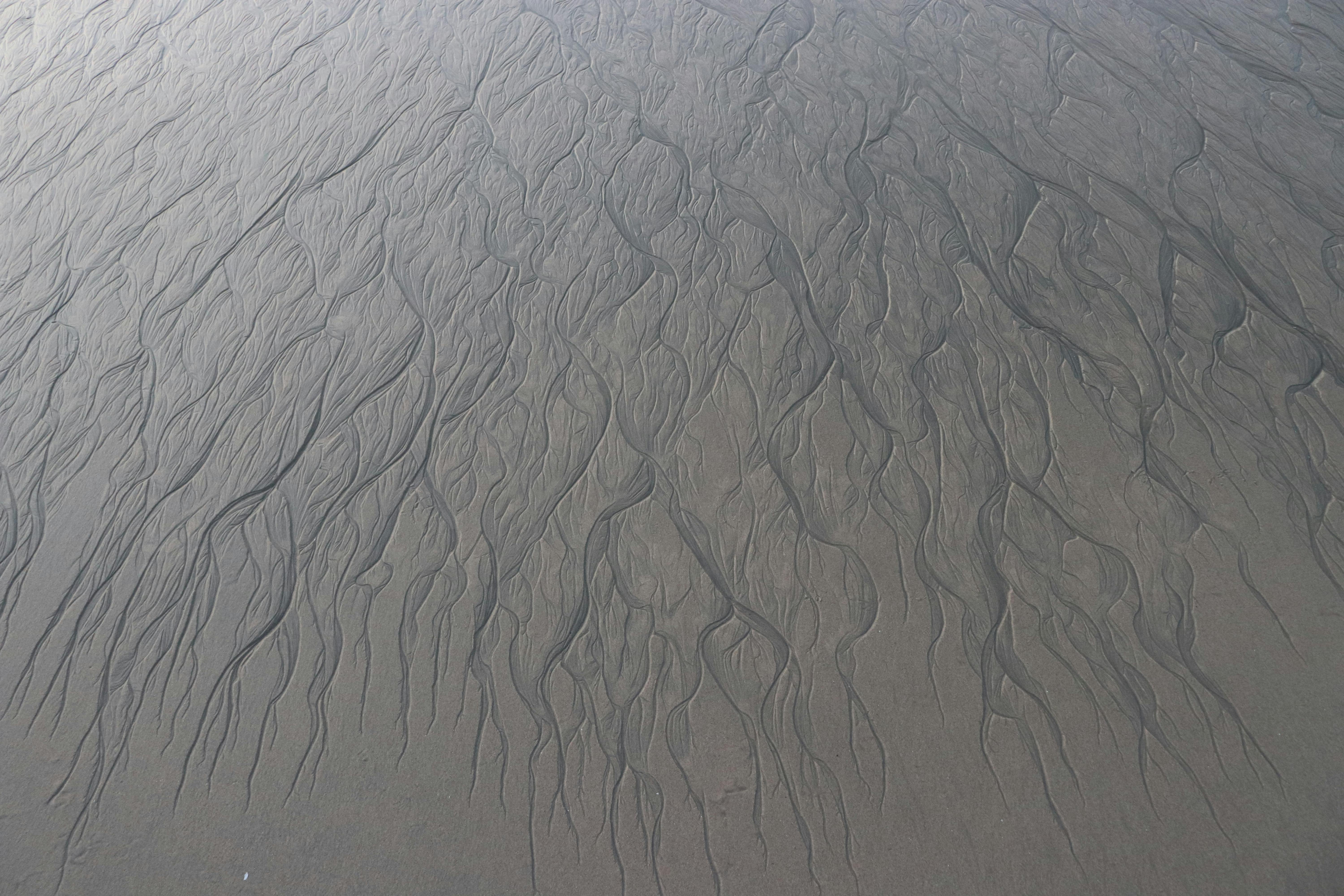 Intricate sand patterns on a beach create a natural abstract aerial view at low tide.