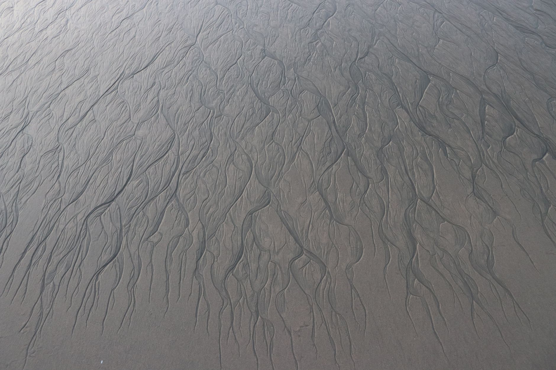 Intricate sand patterns on a beach create a natural abstract aerial view at low tide.