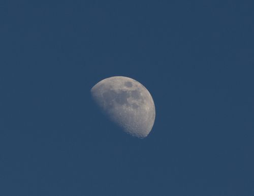 Free A sharp, detailed photo of a half moon against a deep blue sky taken in Jönköping, Sweden. Stock Photo